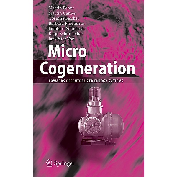 Micro Cogeneration, Martin Pehnt, Martin Cames, Corinna Fischer, Barbara Praetorius, Lambert Schneider, Katja Schumacher, Jan-Peter Voss