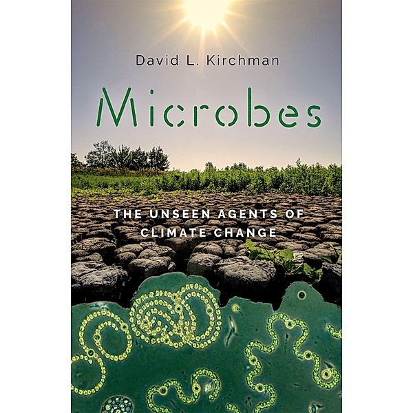 Microbes, David L. Kirchman
