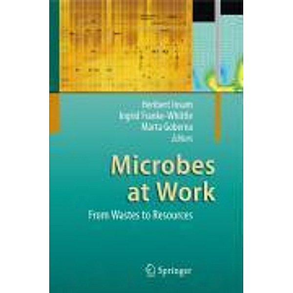 Microbes at Work, Heribert Insam, Ingrid Franke-Whittle, Marta Goberna