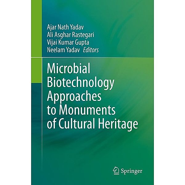 Microbial Biotechnology Approaches to Monuments of Cultural Heritage