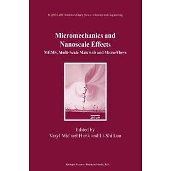 Micromechanics and Nanoscale Effects / ICASE LaRC Interdisciplinary Series in Science and Engineering Bd.10