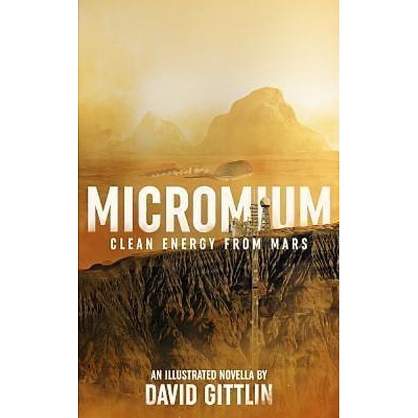 Micromium / Entelligent Entertainment, David B Gittlin