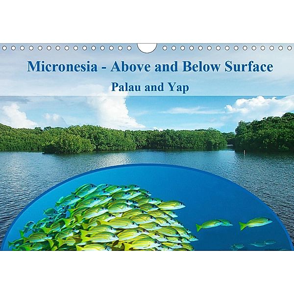 Micronesia - Above and Below Surface (Wall Calendar 2021 DIN A4 Landscape), Ute Niemann
