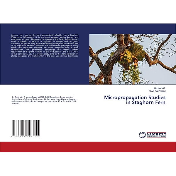 Micropropagation Studies in Staghorn Fern, Gopinath G., Shiva Sai Prasad