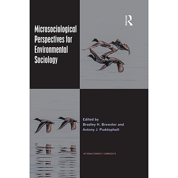 Microsociological Perspectives for Environmental Sociology