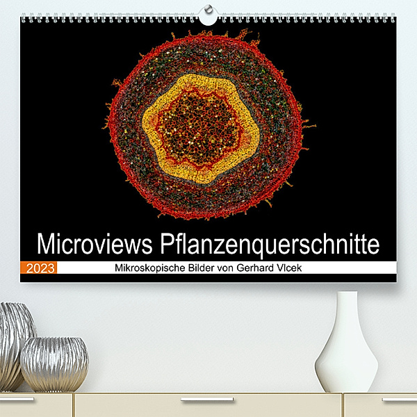 Microviews - Pflanzenquerschnitte (Premium, hochwertiger DIN A2 Wandkalender 2023, Kunstdruck in Hochglanz), Gerhard Vlcek
