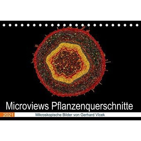 Microviews - Pflanzenquerschnitte (Tischkalender 2021 DIN A5 quer), Gerhard Vlcek