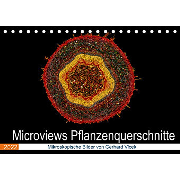 Microviews - Pflanzenquerschnitte (Tischkalender 2022 DIN A5 quer), Gerhard Vlcek