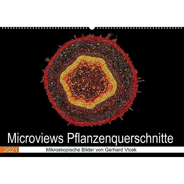 Microviews - Pflanzenquerschnitte (Wandkalender 2021 DIN A2 quer), Gerhard Vlcek