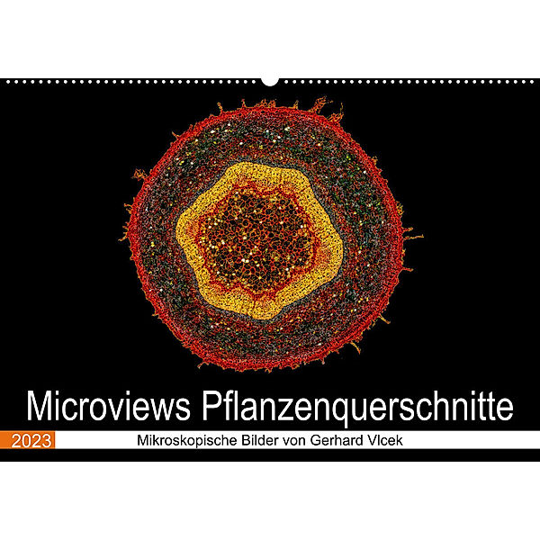 Microviews - Pflanzenquerschnitte (Wandkalender 2023 DIN A2 quer), Gerhard Vlcek