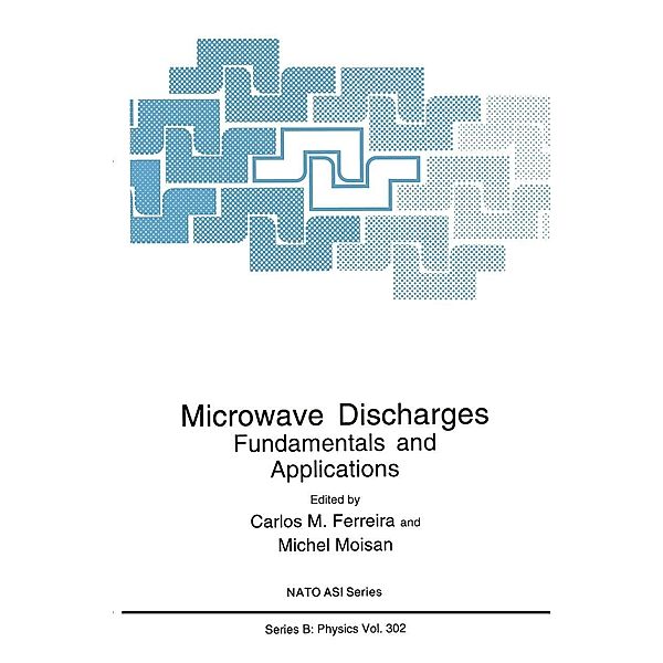 Microwave Discharges / NATO Science Series B: Bd.302