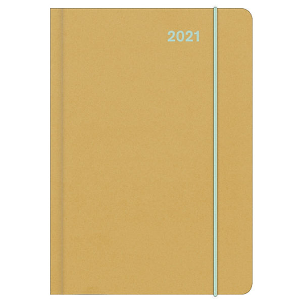 Midi Flexi Diary ColourLine NEOMINT 2021