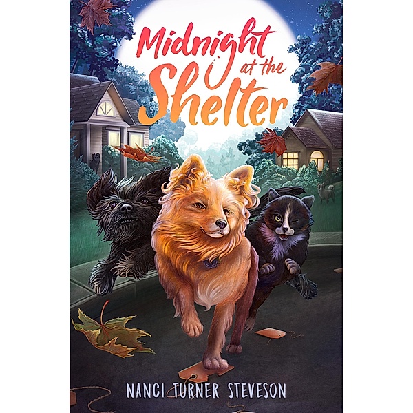 Midnight at the Shelter, Nanci Turner Steveson