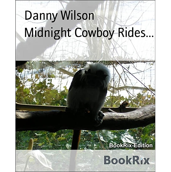 Midnight Cowboy Rides..., Danny Wilson