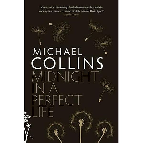 Midnight in a Perfect Life, Michael Collins