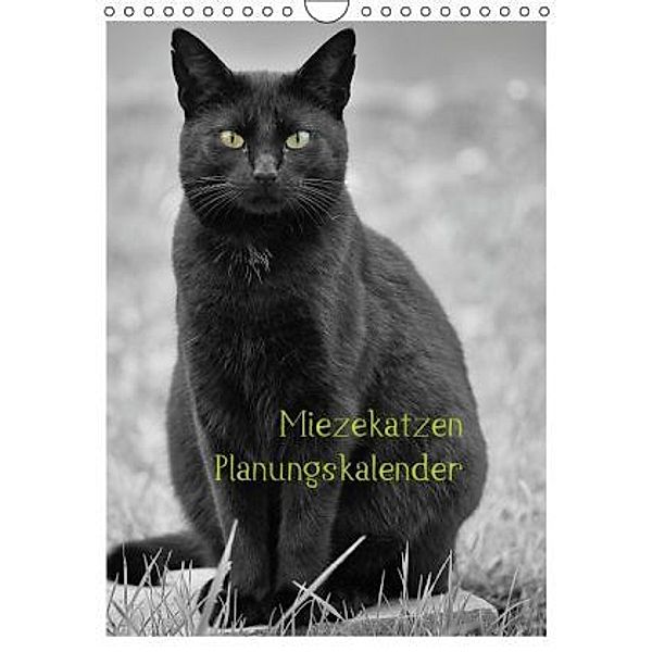 Miezekatzen Planungskalender (Wandkalender 2015 DIN A4 hoch), Hans Zitzler