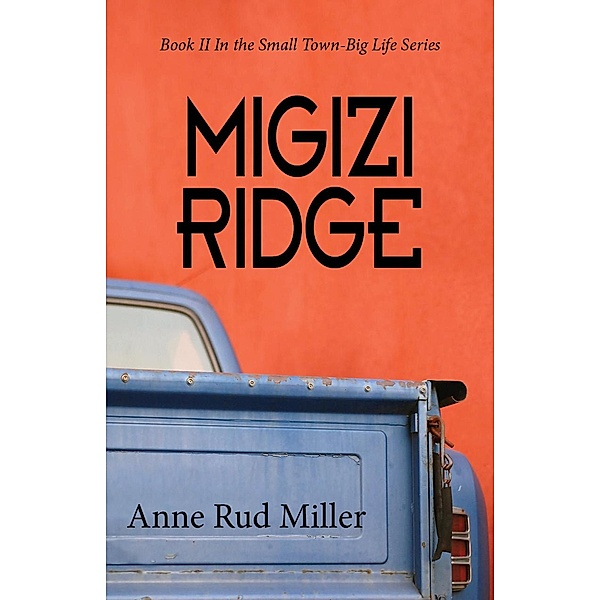 Migizi Ridge (Small Town-Big Life Series, #2) / Small Town-Big Life Series, Anne Miller