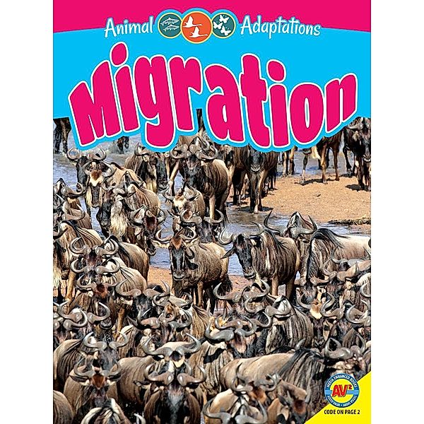 Migration, Megan Kopp