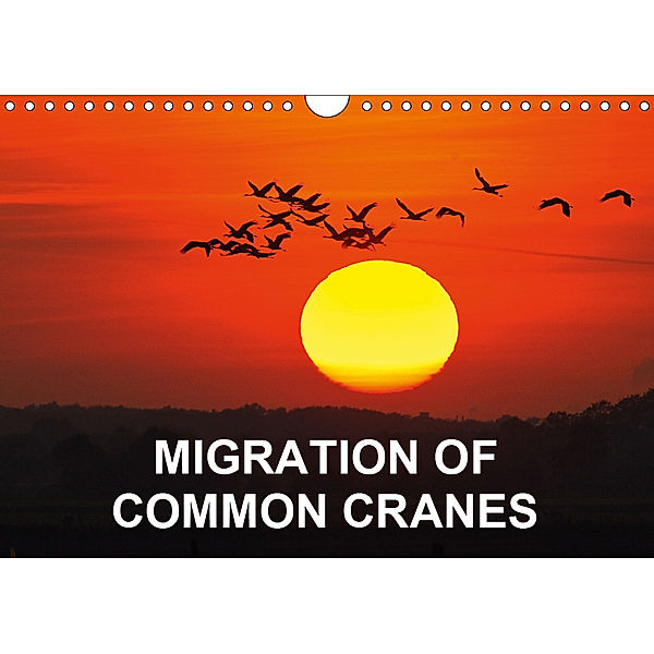 Migration of Common Cranes (Wall Calendar 2019 DIN A4 Landscape), BIA - birdimagency