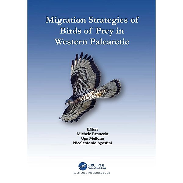 Migration Strategies of Birds of Prey in Western Palearctic