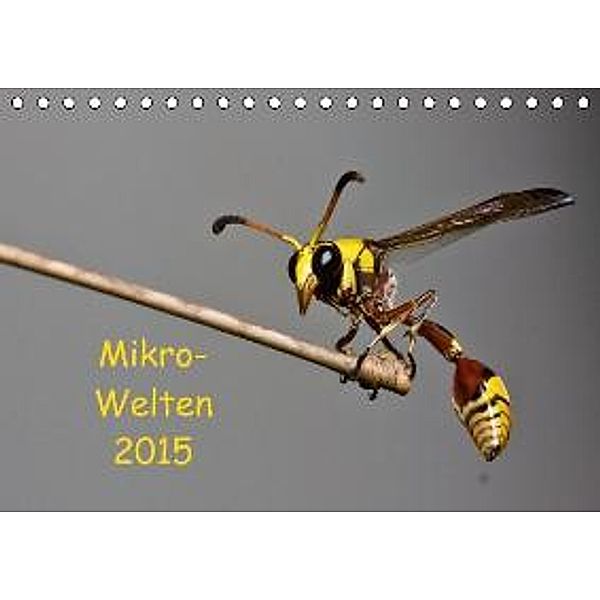 Mikro-Welten (Tischkalender 2015 DIN A5 quer), Ralf D. Weinand