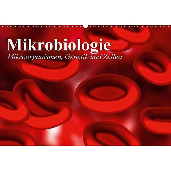 Mikrobiologie. Mikroorganismen, Genetik und Zellen (Wandkalender 2017 DIN A2 quer), Elisabeth Stanzer