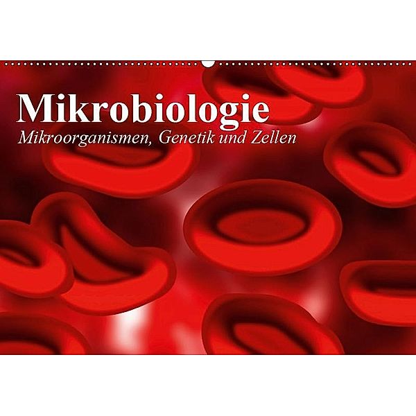 Mikrobiologie. Mikroorganismen, Genetik und Zellen (Wandkalender 2019 DIN A2 quer), Elisabeth Stanzer