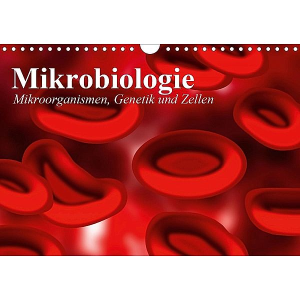Mikrobiologie. Mikroorganismen, Genetik und Zellen (Wandkalender 2021 DIN A4 quer), Elisabeth Stanzer