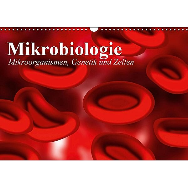 Mikrobiologie. Mikroorganismen, Genetik und Zellen (Wandkalender 2021 DIN A3 quer), Elisabeth Stanzer