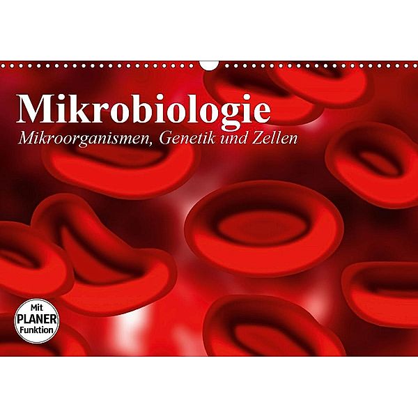 Mikrobiologie. Mikroorganismen, Genetik und Zellen (Wandkalender 2021 DIN A3 quer), Elisabeth Stanzer