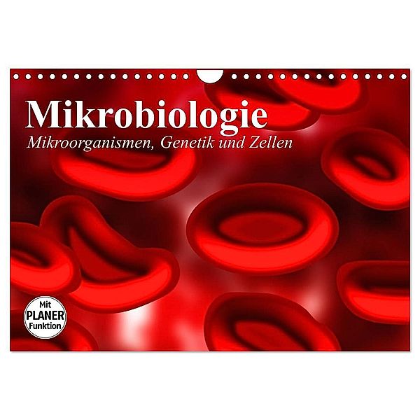 Mikrobiologie. Mikroorganismen, Genetik und Zellen (Wandkalender 2024 DIN A4 quer), CALVENDO Monatskalender, Elisabeth Stanzer