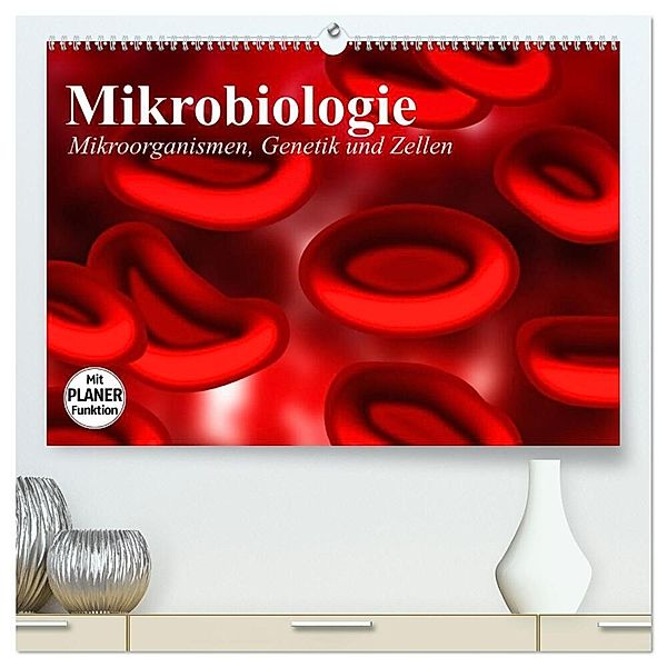 Mikrobiologie. Mikroorganismen, Genetik und Zellen (hochwertiger Premium Wandkalender 2024 DIN A2 quer), Kunstdruck in Hochglanz, Elisabeth Stanzer