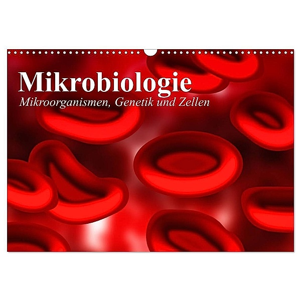 Mikrobiologie. Mikroorganismen, Genetik und Zellen (Wandkalender 2024 DIN A3 quer), CALVENDO Monatskalender, Elisabeth Stanzer