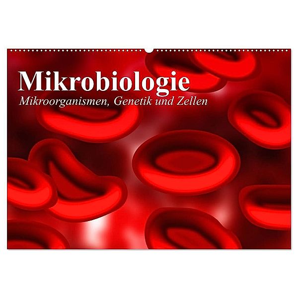 Mikrobiologie. Mikroorganismen, Genetik und Zellen (Wandkalender 2024 DIN A2 quer), CALVENDO Monatskalender, Elisabeth Stanzer