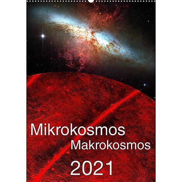 Mikrokosmos - Makrokosmos (Wandkalender 2023 DIN A2 hoch), Hardy Richter