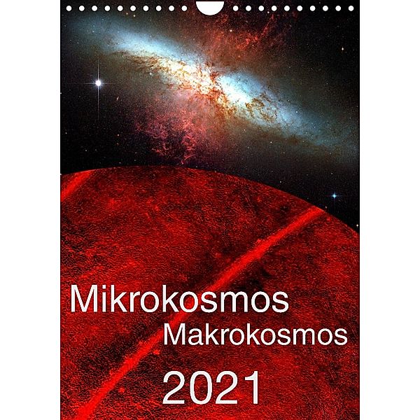 Mikrokosmos - Makrokosmos (Wandkalender 2023 DIN A4 hoch), Hardy Richter