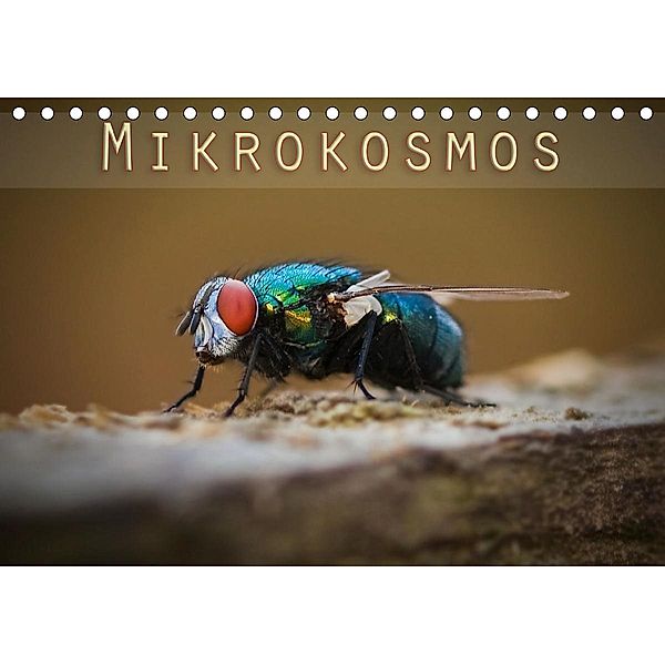 Mikrokosmos (Tischkalender 2020 DIN A5 quer), Markus Will