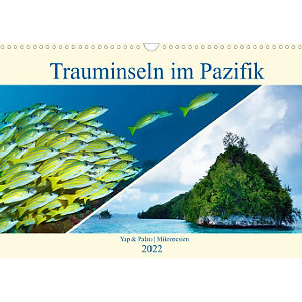 Mikronesien: Yap und Palau (Wandkalender 2022 DIN A3 quer), Ute Niemann