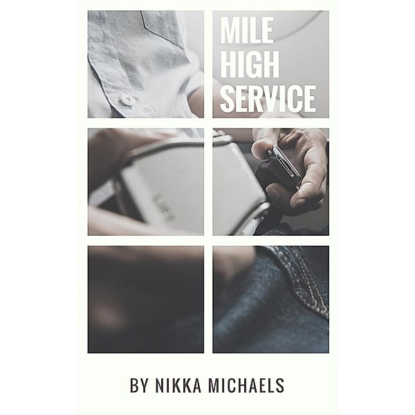 Mile High Service (At His Service, #3) / At His Service, Nikka Michaels