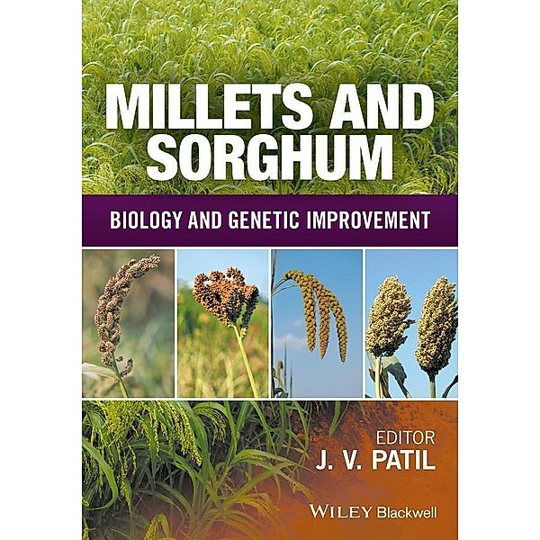 Millets and Sorghum