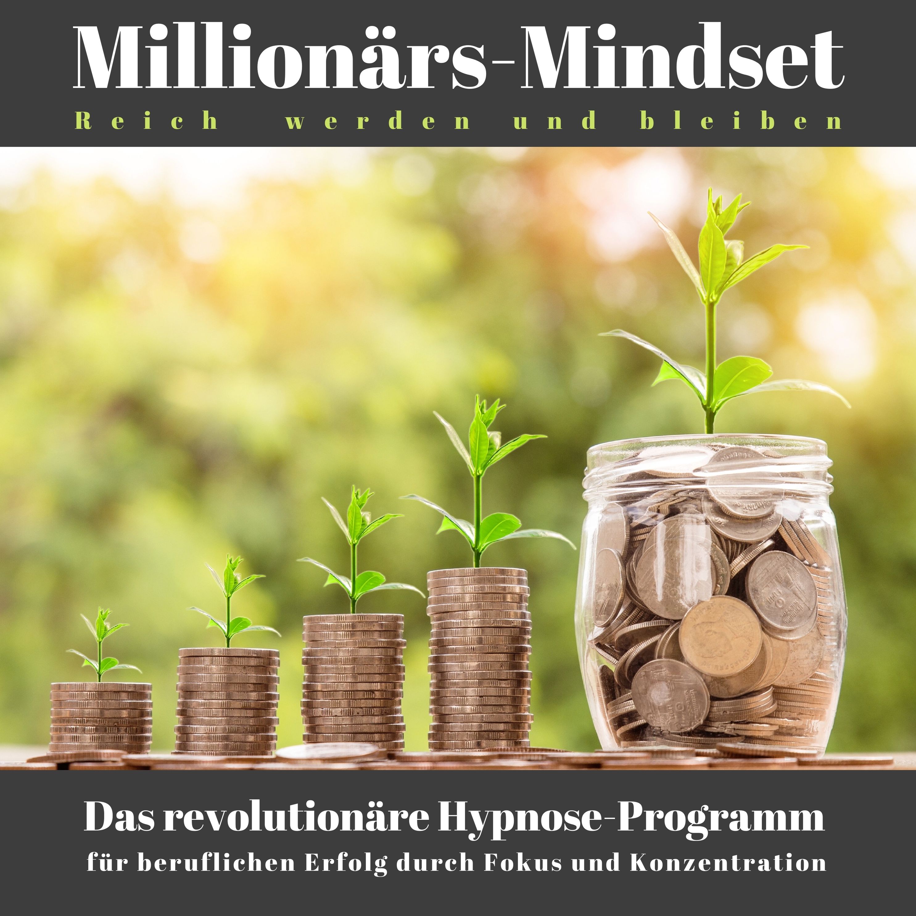 Millionärs-Mindset: Reich werden und bleiben Hörbuch Download