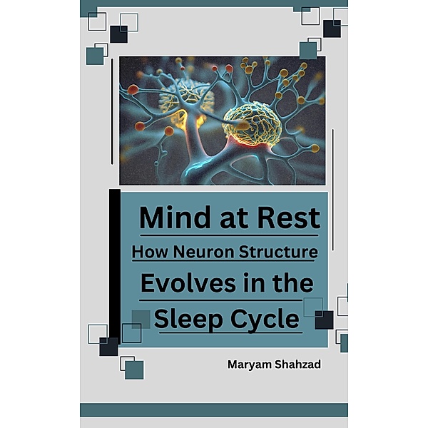 Mind at Rest:  How Neuron Structure  Evolves in the Sleep Cycle., Maryam Shahzad