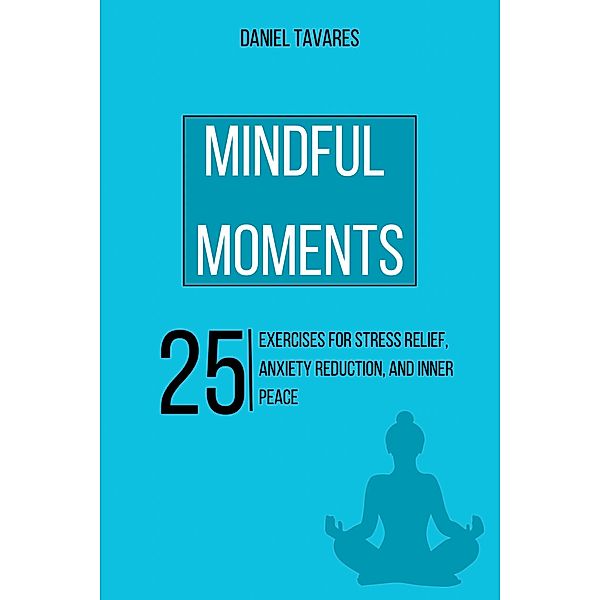 Mindful Moments, Daniel Tavares