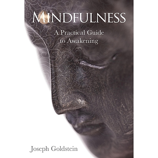 Mindfulness, Joseph Goldstein