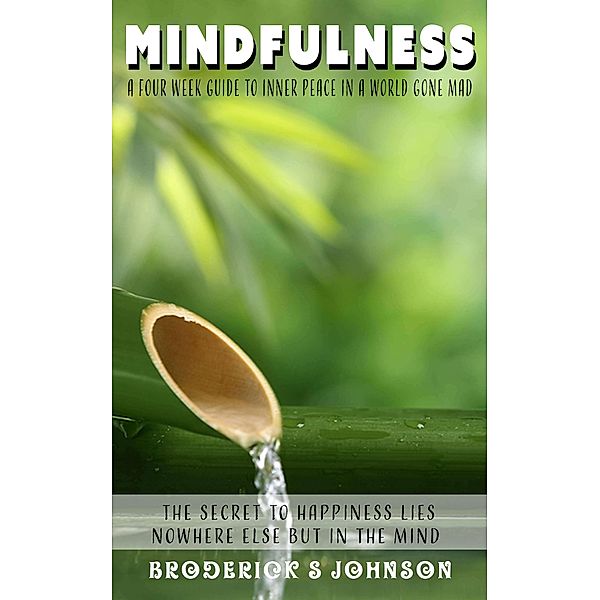 Mindfulness: A Four Week Guide to Inner Peace In a World Gone Mad (Meditation Mindfulness - Life Transformation Series, #2) / Meditation Mindfulness - Life Transformation Series, Broderick S Johnson