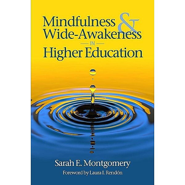 Mindfulness & Wide-Awakeness in Higher Education, Sarah E. Montgomery
