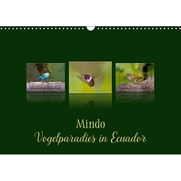 Mindo, Vogelparadies in Ecuador (Wandkalender 2017 DIN A3 quer), Eerika Schulz