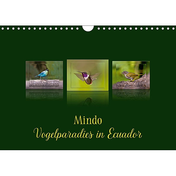 Mindo, Vogelparadies in Ecuador (Wandkalender 2019 DIN A4 quer), Eerika Schulz