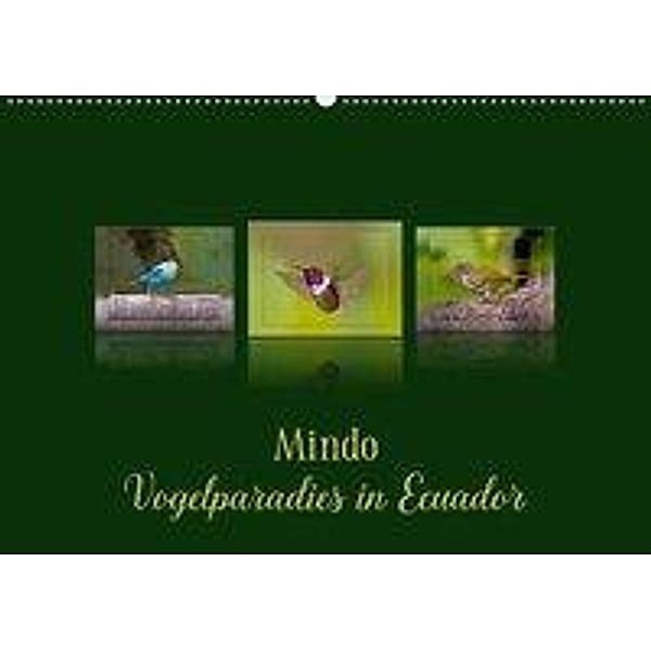 Mindo, Vogelparadies in Ecuador (Wandkalender 2020 DIN A2 quer), Eerika Schulz