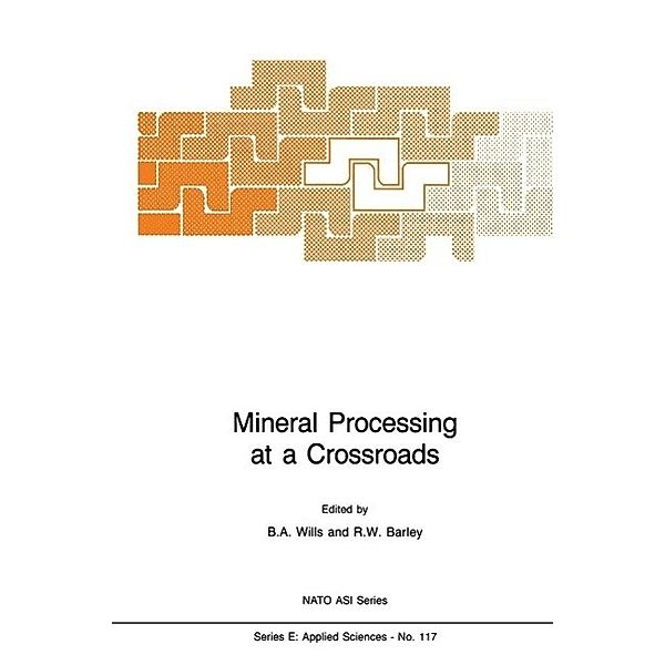 Mineral Processing at a Crossroads / NATO Science Series E: Bd.117
